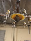 Signed Art Nouveau Style Hand Crafted Glass Chandelier Silvered Painted  2 