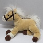Horse Stuffie With 7 Horse Books