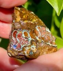111 45ct Rough Koroit Boulder Opal Specimen 33 8mm Australian Matrix Green Flash