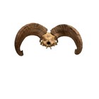 Sacred Vintage Native American Butte County Hand Painted Ooak Big Horn Ram Skull
