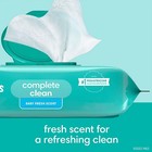 Pampers Scented Baby Wipes  Baby Fresh  1200 Ct   Hypoallergenic  0  Alcohol