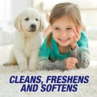 22 Oz  Carpet Cleaner High Traffic Foam  3-pack 