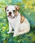 Hand-painted Custom Pet Portrait  Cat Portrait  Dog Portrait  Gift For Pet Lover