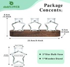 Plant Propagation Stations  Plant Lover Gift  Star Shaped Glass Vase With Wooden