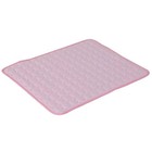 Dog Cooling Mat Summer Pet Cold Bed Extra Large For Small Big Dogs Pet Accessori
