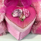 Dan Dee Collectors Choice Pink Teddy Bear Plush Stuffed Animal Heart Shape Box