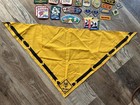Vintage 1990-2000s Boy Scout Patches Neckerchief Slide Pins Lot