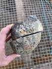 Pair Of Texas Agates Unfinished Faces Quartz Center