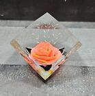 Vintage Lucite Rose Plastic Prod Co Pink Rose Paperweight 