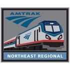 Amtrak Northeast Regional Train Route Collector Edition Enameled Lapel Hat Pin C