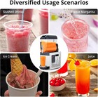 Commercial Slushy Machine 12l Margarita Smoothie Cold Frozen Drink Maker