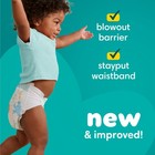 Pampers Baby Dry Baby Diapers Size 4  148 Count