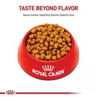 Royal Canin Adult Dry Dog Food - Shih Tzu Breed Health Nutrition  10 Lb