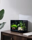 2 5 Gallon Clear Glass Fish Tank  Small Fish Tank Aquarium For Betta  Goldfis   
