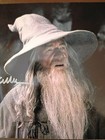 Ian Mckellen Gandolf Lord Of The Rings Signed 8x10 Coa W matching Number Sticker