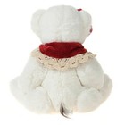 Teddy Bear Stuffed Animal Plush Toy Best Gifts    g    10inch 