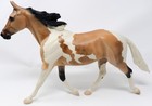 2004 Peter Stone Palouse   Equilocity   Gingerbread Cookie  