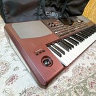 Korg Pa1000 Professional Arranger Keyboard 61 Keys W  Music Stand Case  164