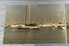 Lake Michigan Boat Harbor Found Photos Lot Of 3 Vintage Snapshots 1988 Chicago