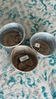 Set Of 3 Seagrass Basket - Foldable Storage   Gold silver   Boho Decor