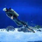 Scuba Diver Fish Tank Decoration Shark Aquarium Simulation Landscaping Ornament