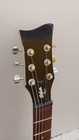 Hofner Hct-sh Electric Guitar