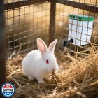 No-drip Rabbit Water Bottle For Cage  2pack 16oz Small Animal Water Dispenser