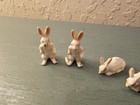Vintage Lot Of  4  Celluloid Mini Rabbits W killer-rabbit Look  Very Good