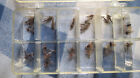 Older Umpqua Fly Box With 30 Hand Tied Trout Flies