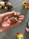 23 Pcs  Main-5 Lot Lps Petshop Authentic Littlest Pet Shop - Hasbro Lps Original