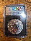 2017 Silver Britannia 1oz Coin Ngc 20th Anniversary Privy Low Mintage  120 000 