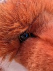 Douglas Fletcher Dlux Red Fox  2442 Plush Collectible Realistic
