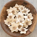 Natural Dried Rukmani Flowers - Bag Of 16  2 5 d   White  Botanical  Vase Filler