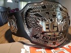 Wwe Replica Title Belt  Ecw World Heavyweight Championship