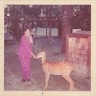Opryland Theme Park - Lot Of 13 3 5x3 5 Candid Photos 1973 -