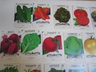 Lot Of 25 Old Vintage - Vegetable - Seed Packets - San Antonio Texas - Empty