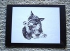 Cleaning Cat Small Print-size 5 X 7 On Black Mat New