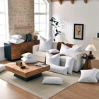 Basic Home 22x22 Decorative Throw Pillow Inserts-down Feather 22x22  White 