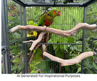 Bird Parrot Cage Perch Manzanita Wood Branch 24  Large 12  Small 2 Pack