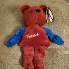 Salvino s Bammers Patrick Roy  33 Bean Bag Bear   February 1999 In Case