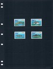  10 50 Scott Value - 2010 Antigua Sharks Caribbean Sea Cv Mnh Nh Umm