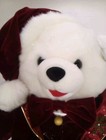 Snowflake Teddy 2010  save The Earth  Dan Dee Collection Single Free Shipping