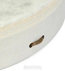 Remo Buffalo Drum - 16 Inch