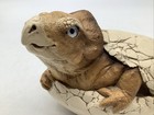 2 Windstone Editions Hatching Dinosaur Egg Sculptures