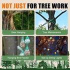 Arborist Throw Line Kit 15oz Weight 196ft Paracord For Tree Climbing   3mm 100 
