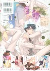 Meguru Hinohara Illustration Collection Book Darling  Japanese Art Book From Jp 