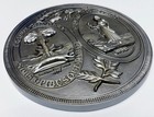South Carolina State Seal Wall Plaque 2d In Silver