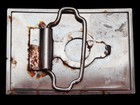 Lh29170 Very Cool Vintage 1970s   18-wheeler Semi-truck   Trucker Belt Buckle