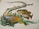 Vintage 1960 s Fitger s Beer Advertising Calendar Pan Fish Sweney Signed Sign 