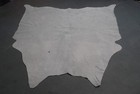 100  New Cowhide Rugs Area Cow Skin Leather  65 x 58   Cow Hide Sa-2202